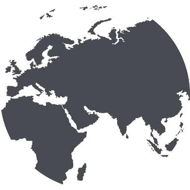 Global Microsoft ERP technology network